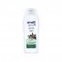 AMALFI BODY MILK OLIVE