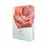 SUNSET WORLD AMOR EDT FRAU 100 ml